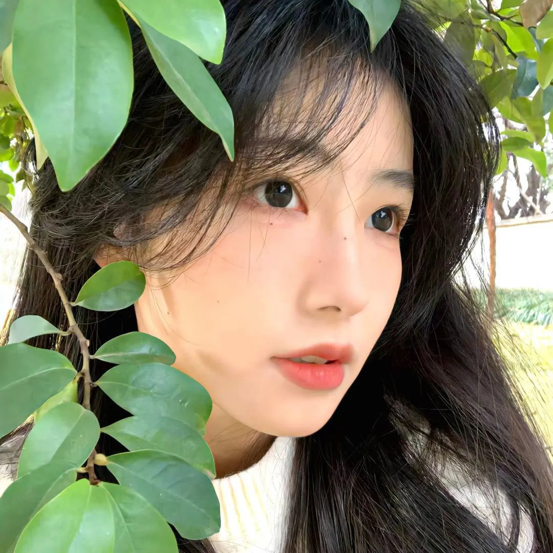 纪录综艺